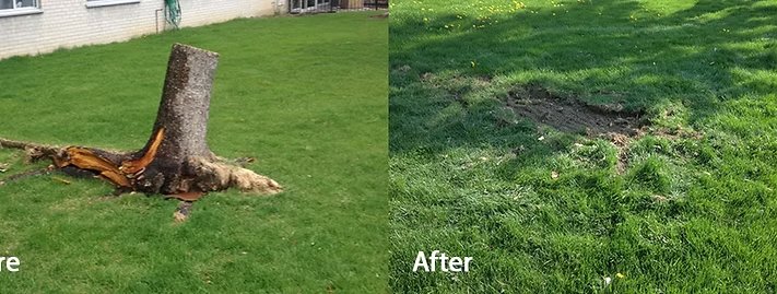 Before and after stump grinding by OnlyStumps
