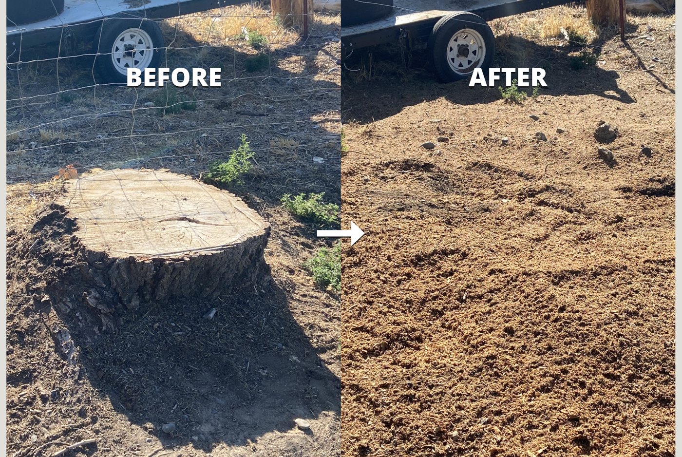 Stump grinding vs. stump removal: what's the difference?