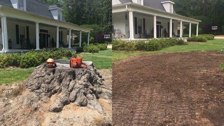 What to do with the spot after stump grinding