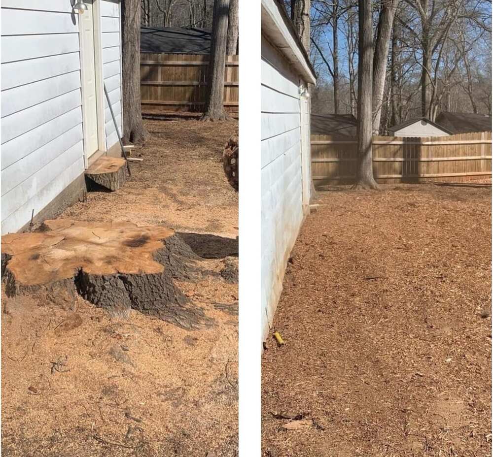 Before and after stump grinding by OnlyStumps