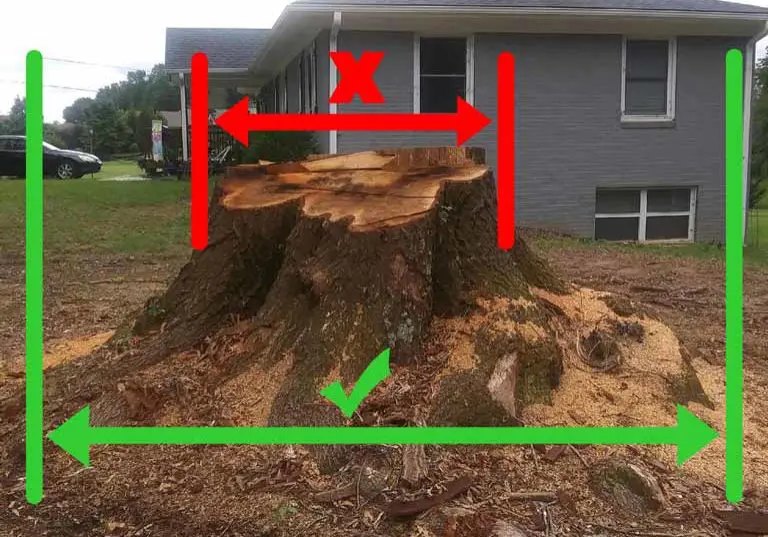 How to measure a stump
